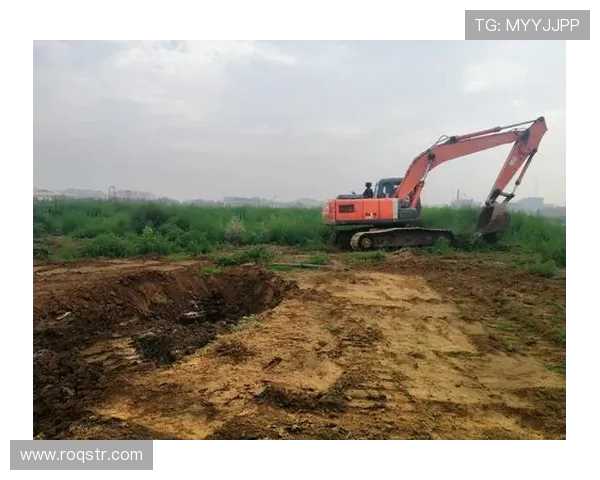 挖掘机园林绿化整地案例
